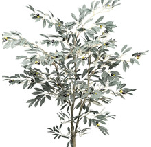 Decoratieve olijfboom met bladeren en olijven