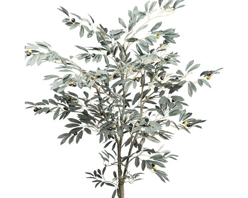 Decoratieve olijfboom met bladeren en olijven