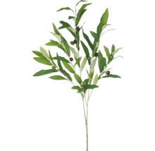 Decoratieve olijftak met bladeren en vruchten