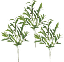 Drie takken met olijven en groene bladeren.