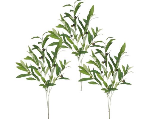 Drie takken met olijven en groene bladeren.