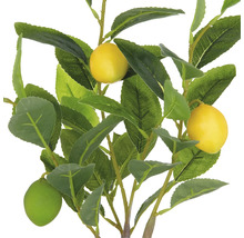 Kunstmatige citroenboom met bladeren en vruchten als decoratie