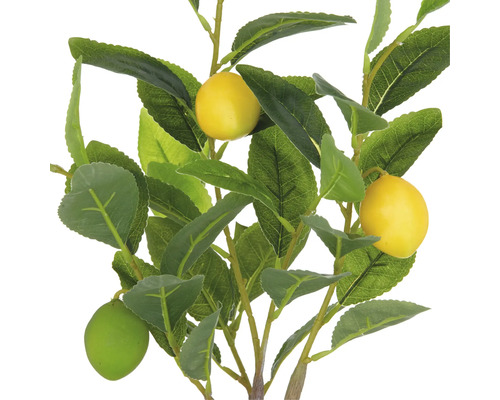 Kunstmatige citroenboom met bladeren en vruchten als decoratie