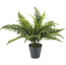 Kunstmatige varen in pot