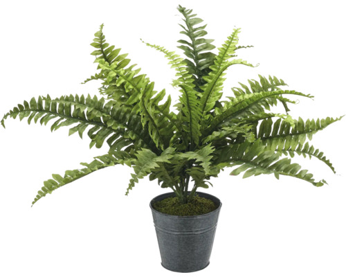 Kunstplant Nephrolepsis Exaltata in pot H 50 cm Kunstmatige varen in pot