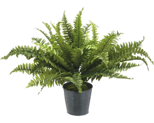 Kunstplant Nephrolepsis Exaltata in pot H 60 cm Kunstvaren in een pot