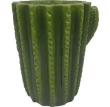 Cactusvormige plantenbak