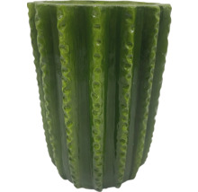 Bloempot in cactusvorm