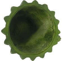 Bovenaanzicht van een groene bloempot met gekartelde rand