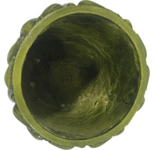 Binnenaanzicht van een plantenbak