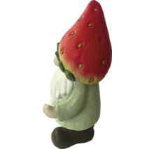 Tuinkabouter met aardbeienmuts