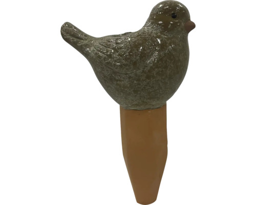 Vogel watergift voor planten