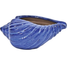 Blauwe bloempot in de vorm van een schelp