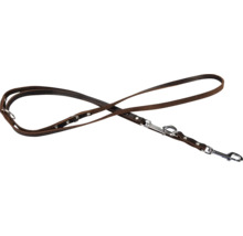 Bruine leren hondenriem met zilverkleurige sluitingen.