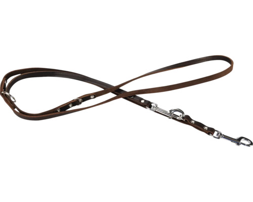 Bruine leren hondenriem met zilverkleurige sluitingen.