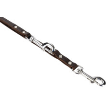Bruine leren hondenriem met zilverkleurige karabijnhaken