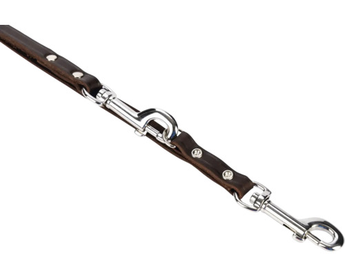 Bruine leren hondenriem met zilverkleurige karabijnhaken