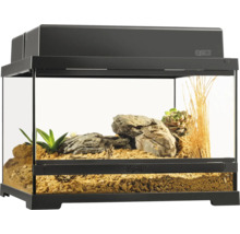 Ingericht Exo Terra terrarium met planten en stenen