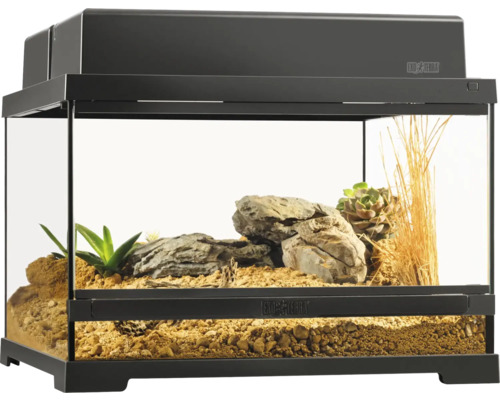 Ingericht Exo Terra terrarium met planten en stenen