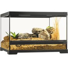Terrarium met planten en stenen