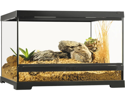 Terrarium met planten en stenen