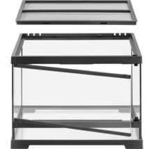 Glazen terrarium met deksel