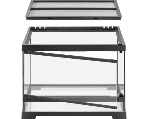Glazen terrarium met deksel