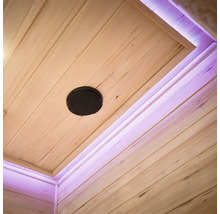 Plafond met luidspreker en verlichting