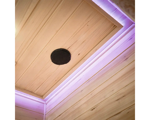 Plafond met luidspreker en verlichting