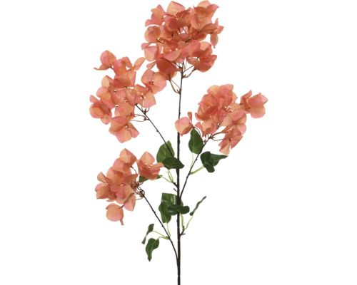 Kunst Bougainvillea met bladeren
