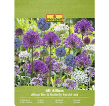 FloraSelf Sierui Bijen en Vlinder Speciale mix, verpakking met 40 stuks