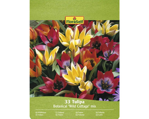 FloraSelf Wild Cottage Tulpenmix, 33 stuks