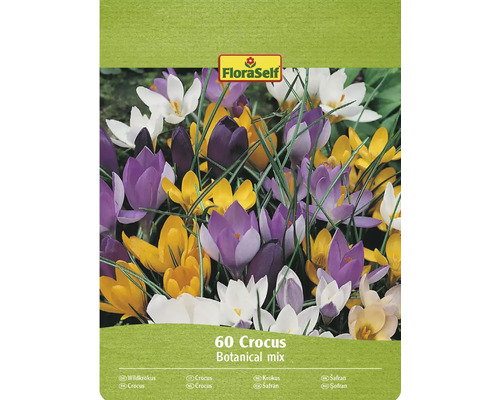 FLORASELF Bloembollen Krokus Crocus Botanische Mix 60 st FloraSelf Krokus Botanische mix verpakking met 60 stuks