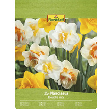 Verpakking met 15 narcissen, dubbele mix