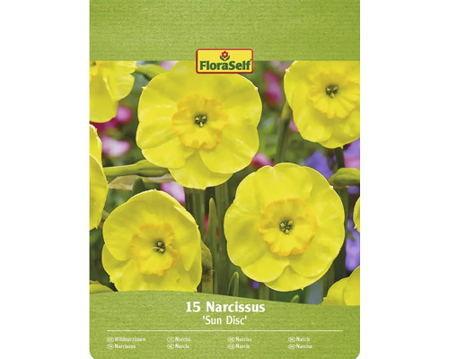 FLORASELF Bloembollen Narcis Narcissus Sun Disc 15 st Verpakking met 15 narcissen van de soort Sun Disc