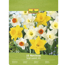Verpakking narcissenmix met 15 bloembollen
