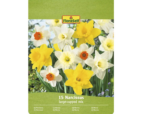 FLORASELF Bloembollen Narcis Narcissus Mix 15 st Verpakking narcissenmix met 15 bloembollen