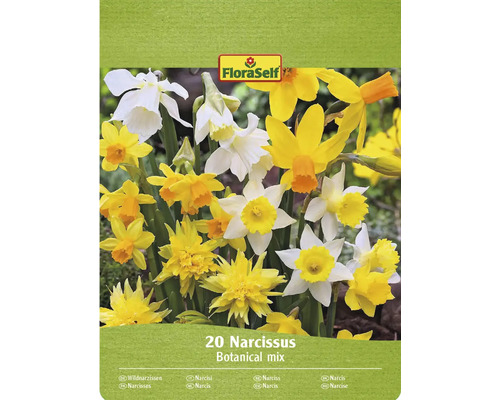 FLORASELF Bloembollen Narcis Narcissus Botanische Mix 20 st FloraSelf Narcissen bloembollen, botanische mix, verpakking van 20 stuks