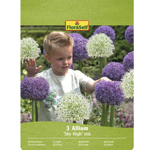 Verpakking van 3 Allium 'Sky High' mix bollen met FloraSelf logo