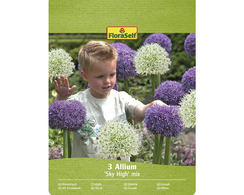Verpakking van 3 Allium 'Sky High' mix bollen met FloraSelf logo