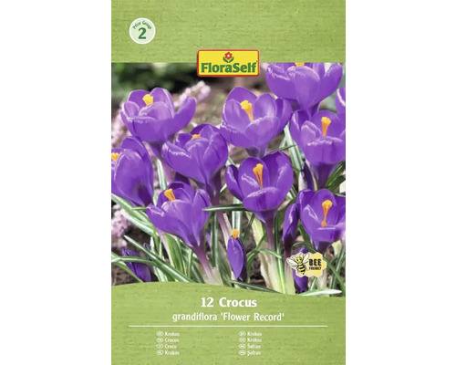 Verpakking krokussen van de soort 'Flower Record' met twaalf stuks en het FloraSelf logo.