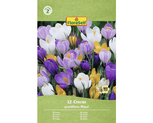 FLORASELF Bloembollen Krokus Crocus Grandiflora Mix 12 st Verpakking met 12 krokussen, soort Grandiflora Mixed