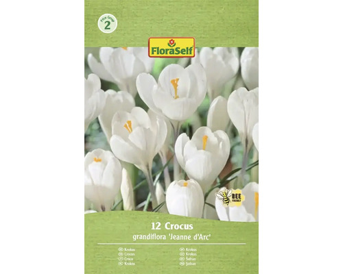 FLORASELF Bloembollen Krokus Crocus Jeanne d'Arc 12 st Verpakking met twaalf Krokus grandiflora Jeanne d'Arc bloembollen