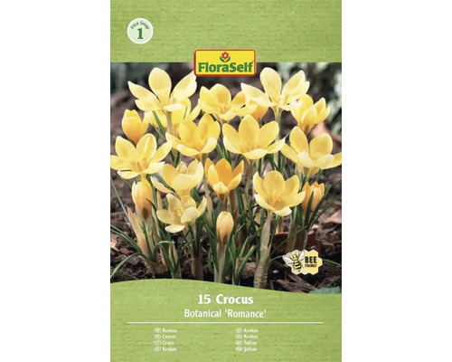 FLORASELF Bloembollen Krokus Crocus Romance 15 st Verpakking met 15 krokussen van de soort Botanical 'Romance' van FloraSelf