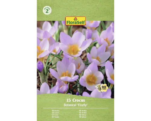 FLORASELF Bloembollen Krokus Crocus Firefly 15 st Verpakking met 15 Krokus Botanical 'Firefly' bloembollen