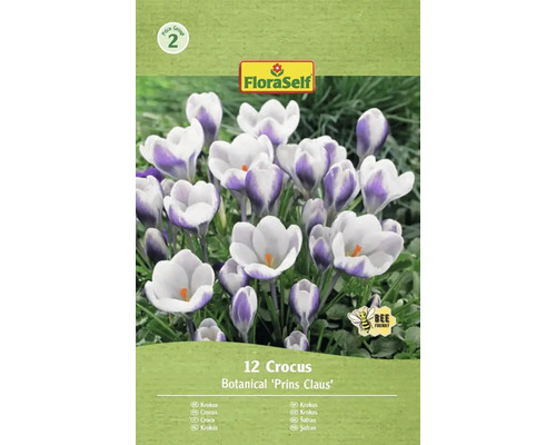 FLORASELF Bloembollen Krokus Crocus Prins Claus 12 st FloraSelf Krokus Prins Claus, verpakking van 12 stuks