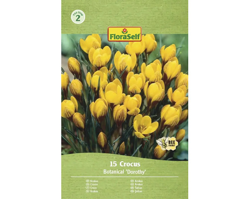 FLORASELF Bloembollen Krokus Crocus Dorothy 15 st Verpakking krokussen van het type Botanical Dorothy