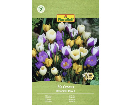 FLORASELF Bloembollen Krokus Crocus Botanische Mix 20 st Verpakking krokussen met botanische mix, 20 stuks