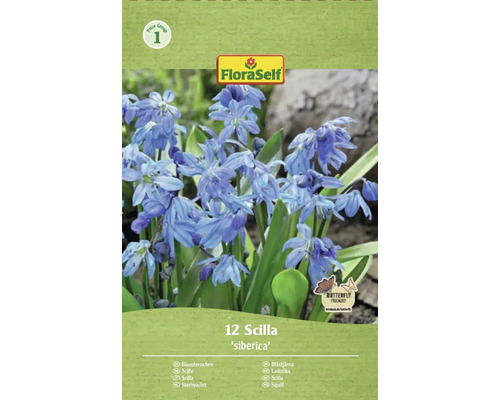 FLORASELF Bloembollen Sterhyacint Scilla Siberica 12 st Verpakking van 12 Scilla siberica bollen van het merk FloraSelf