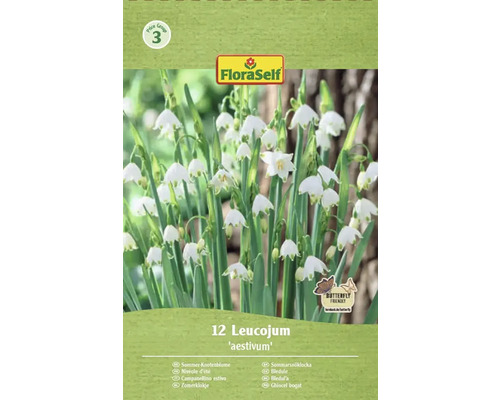 FLORASELF Bloembollen Zomerklokje Leucojum Aestivum 12 st Verpakking zomerklokje Leucojum aestivum